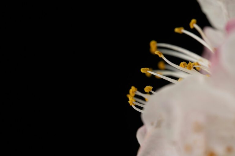 Neplodnost i trudnoca - Skola Zivota